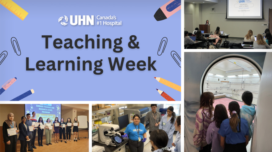 Collage of images of research trainees, students, and workshops as well as a graphic for 